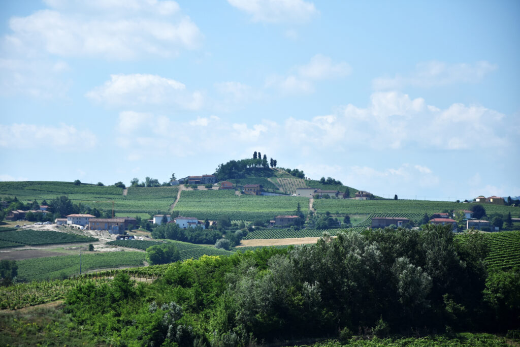 Collines du Monferrato pres de Costigliole d Asti