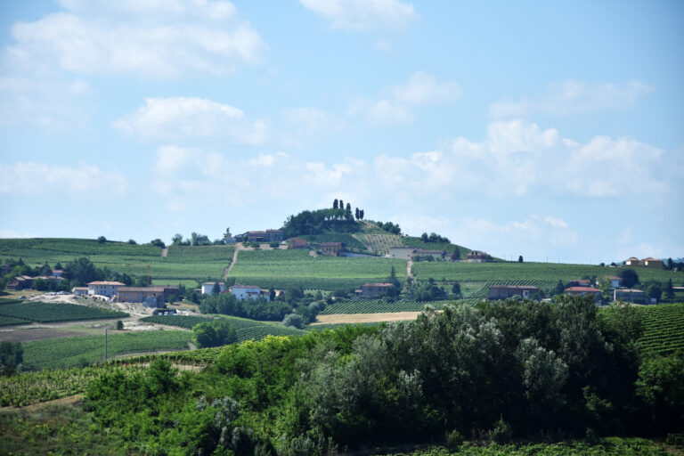 Les collines du Monferrato près de Costigliole d’Asti