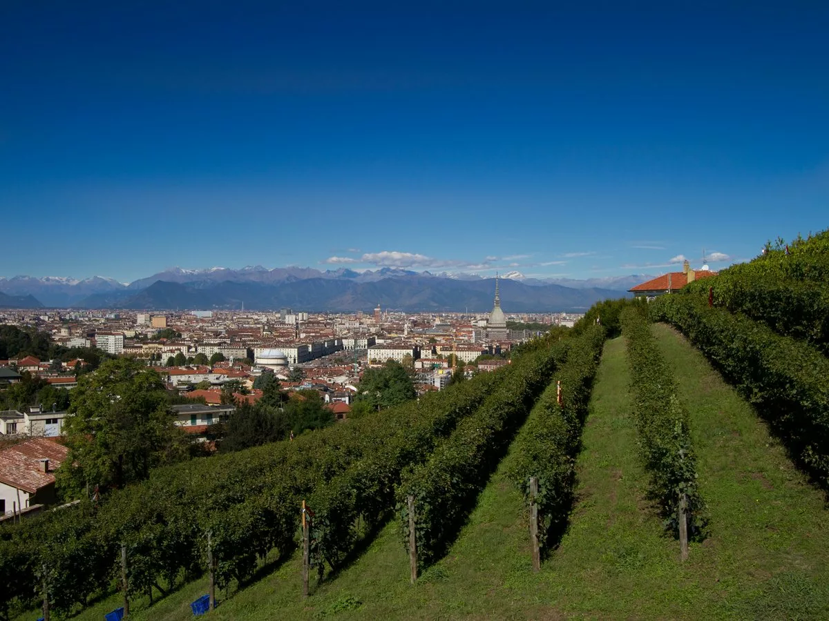 Aperitivo in Vigna