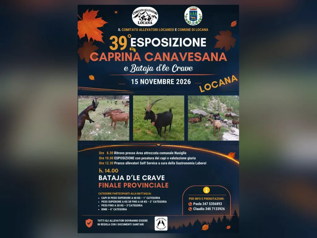 39ª Esposizione Caprina Canavesana e Bataja d'le Crave