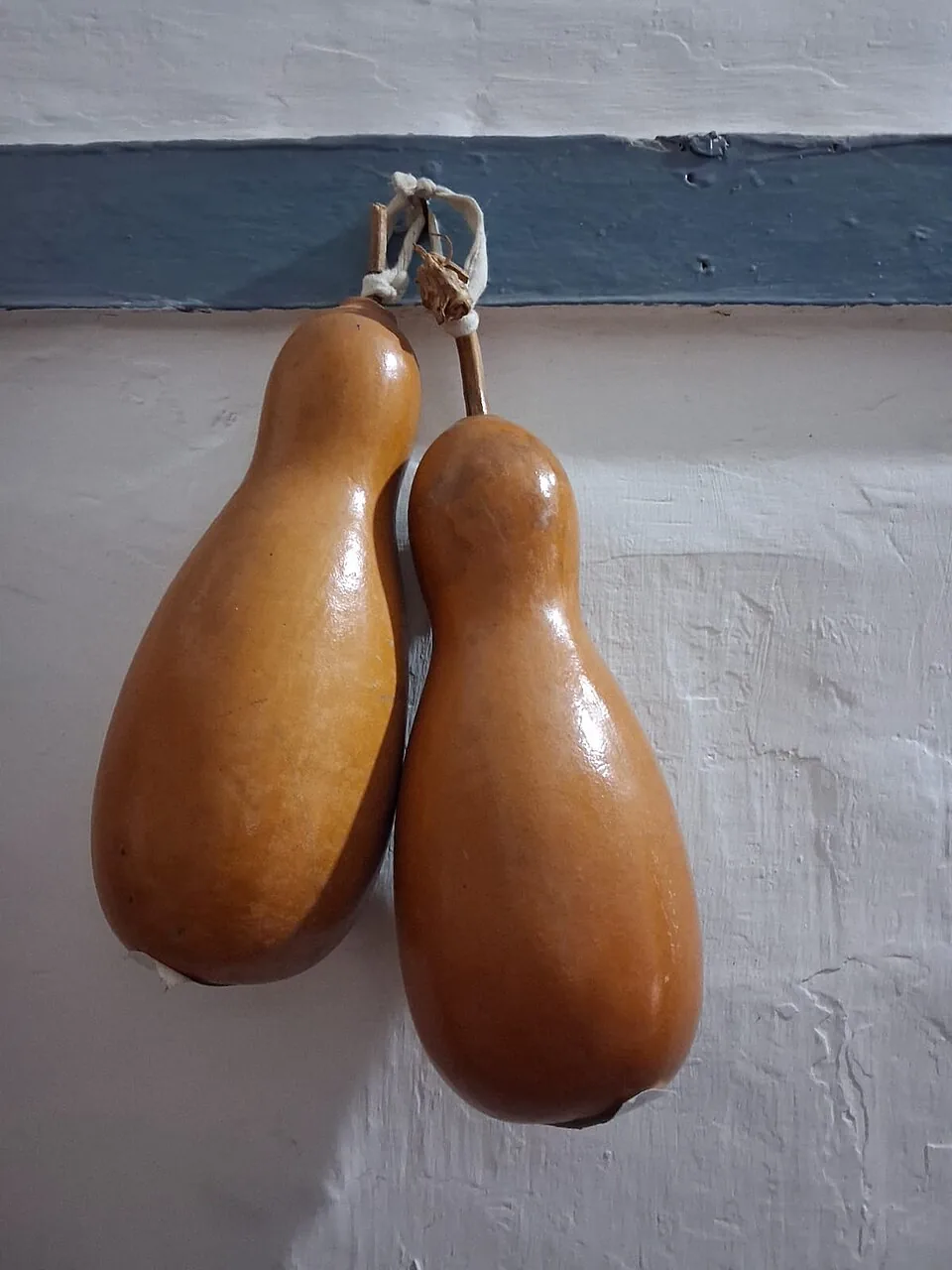 Deux courges calebasses séchées, devenues gourdes