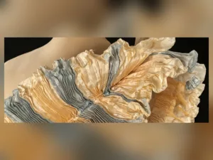 INTORNO ALLA MOSTRA